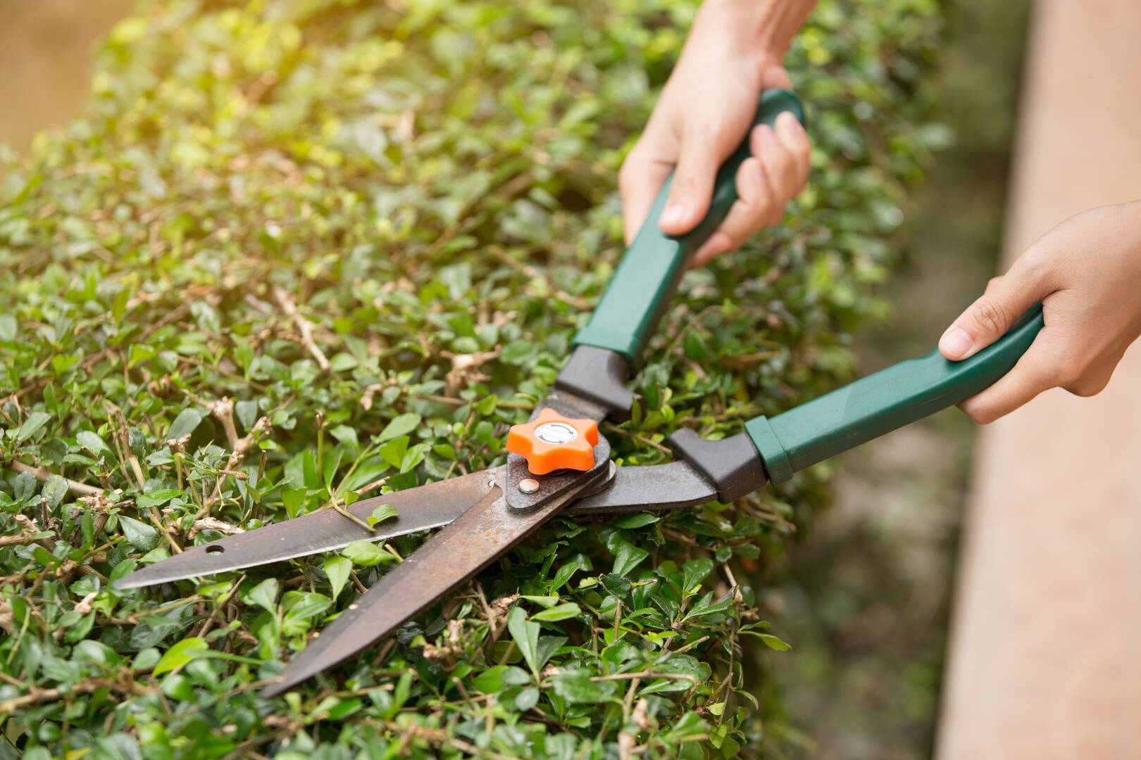 Forrest Exterminating Service Powered by HomePro Pest Control