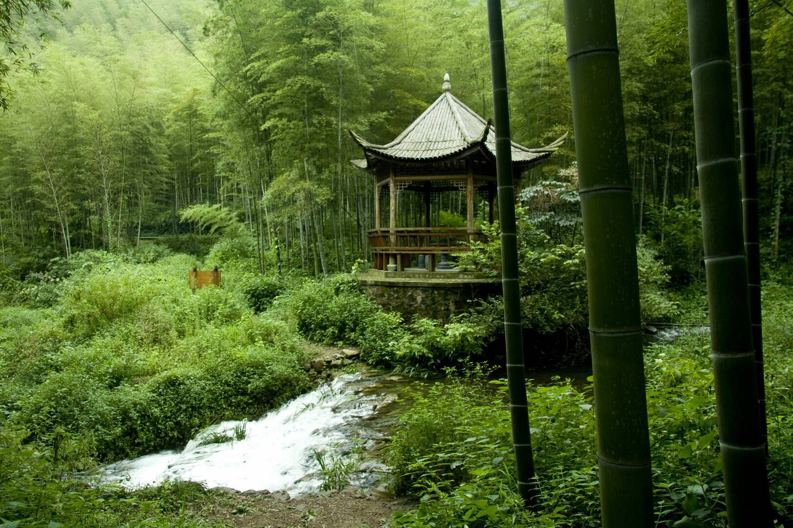 Woodland Tree Service