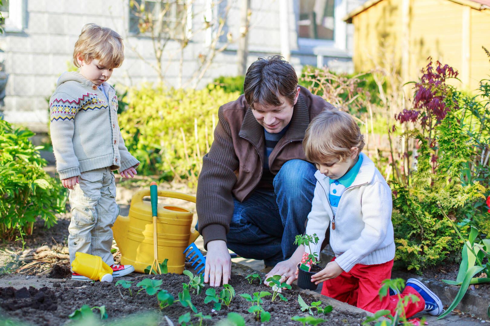 Oakley Landscaping