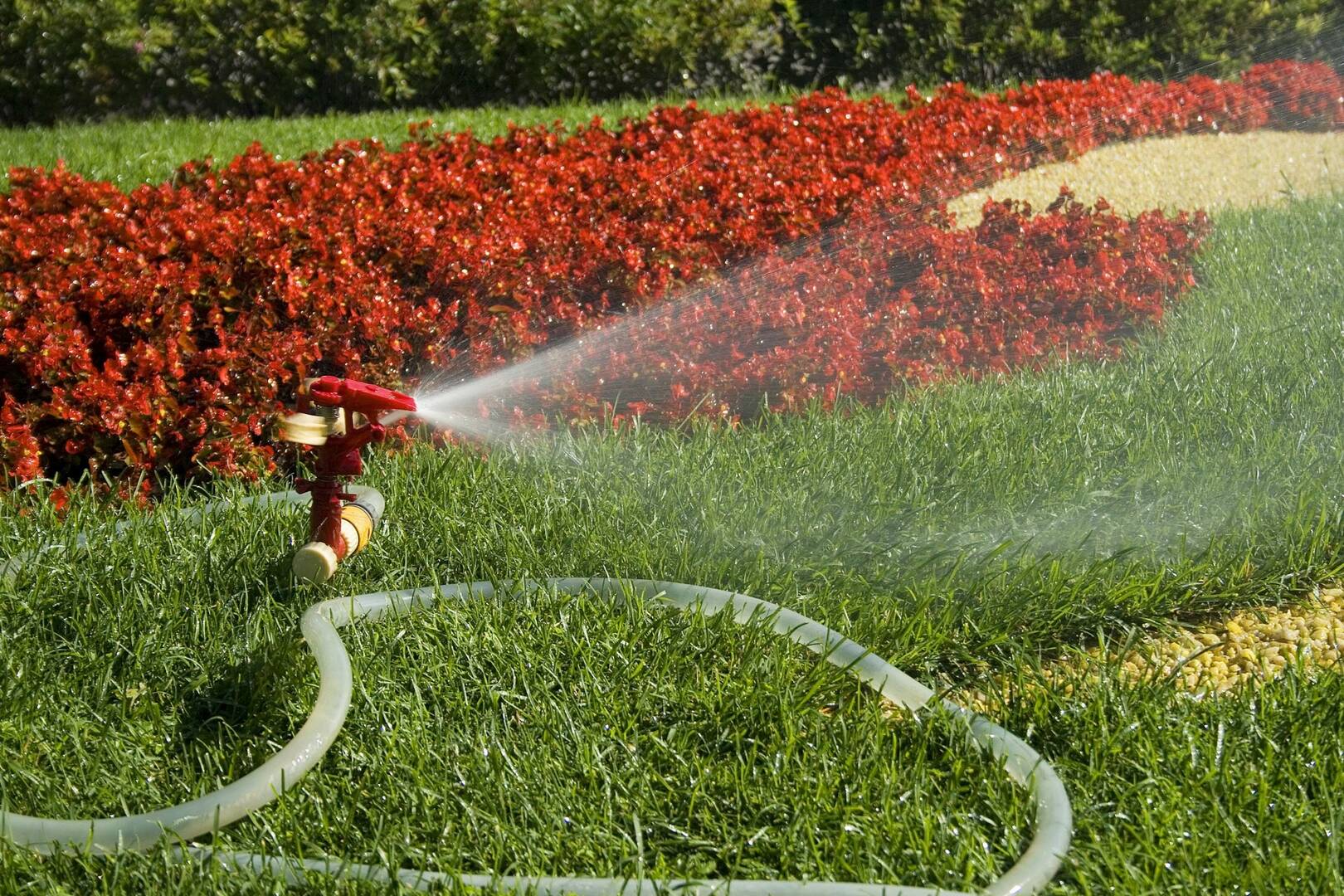 MK's Lawn, Pool & Maintenance Services