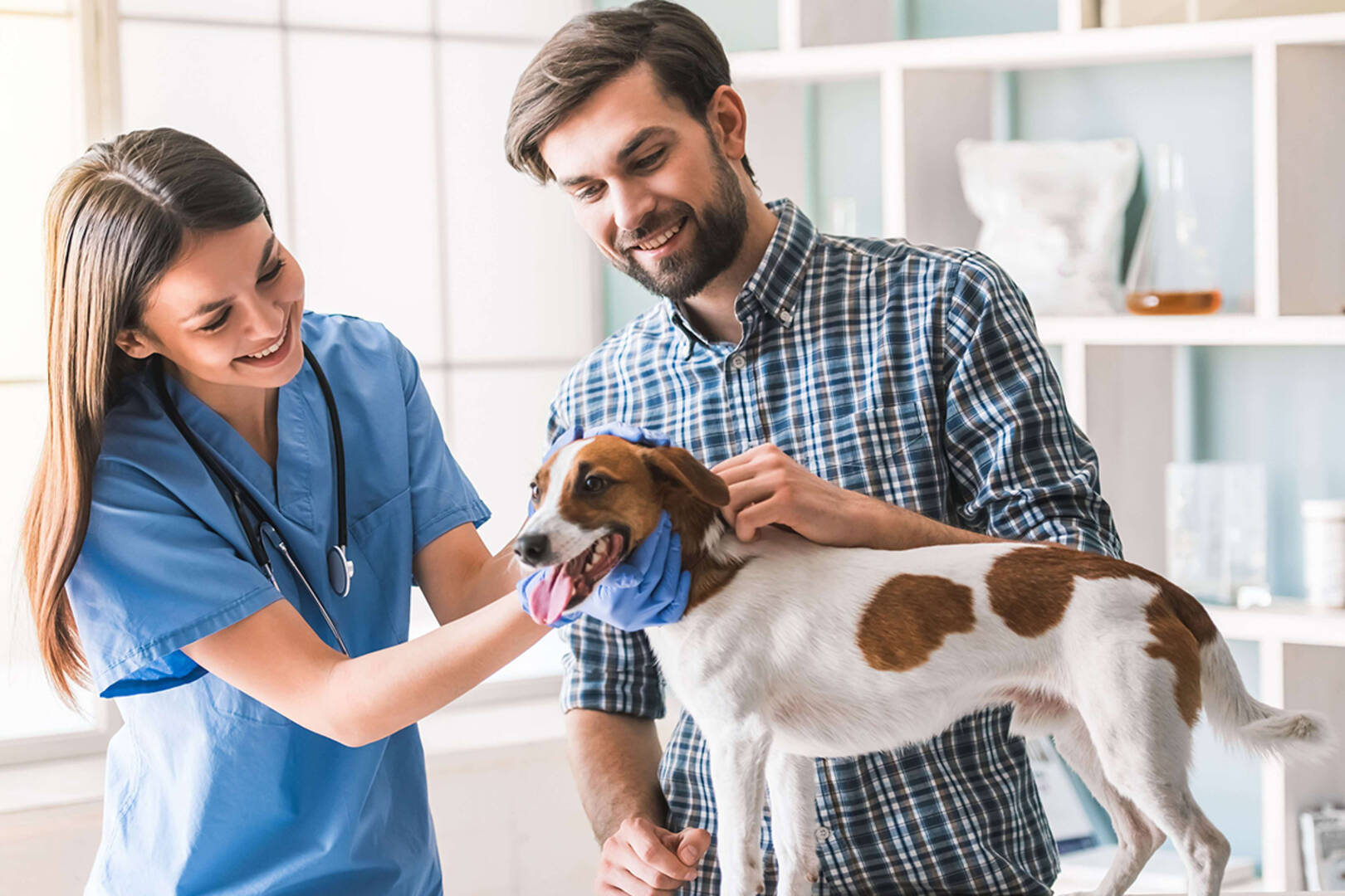 Baywood Animal Hospital