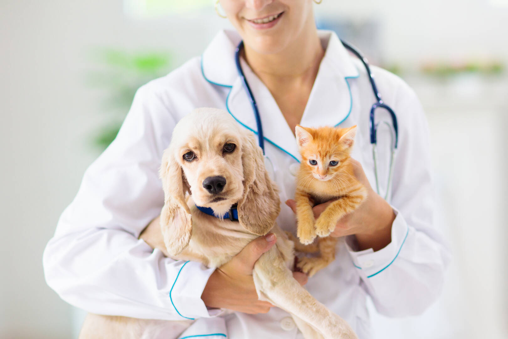 River West Animal Hospital