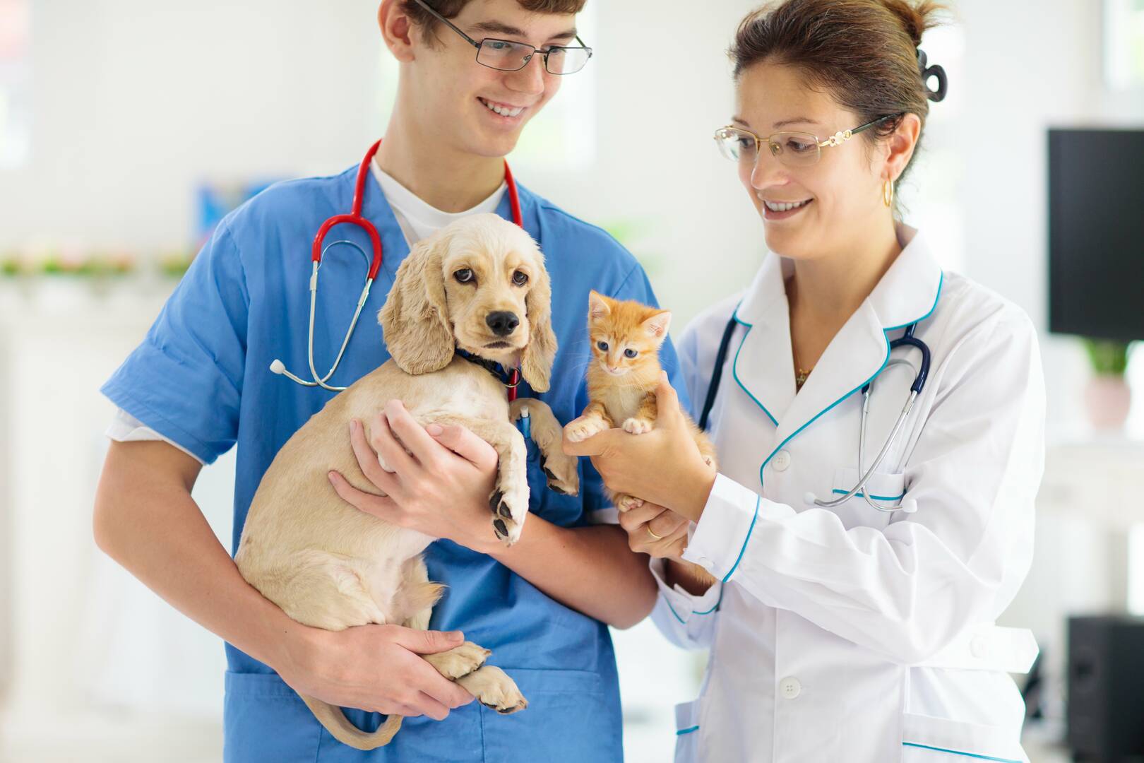 Noah's Brandywine Animal Hospital