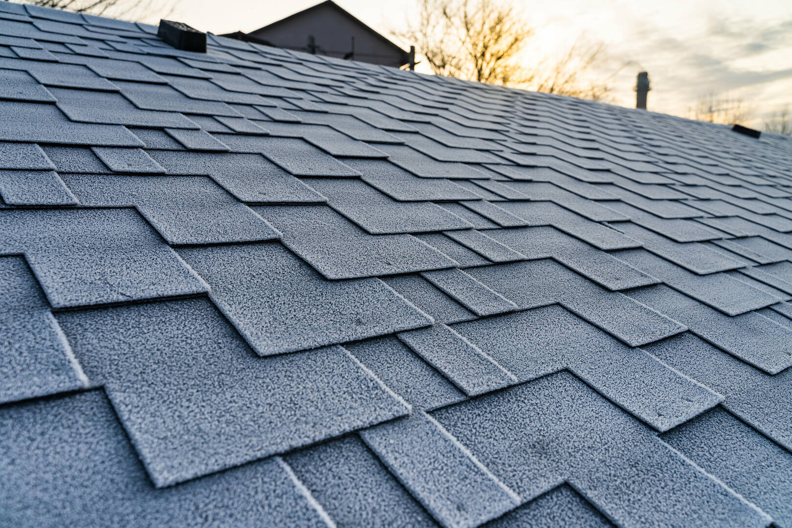 Pelagio Gutters and More Inc