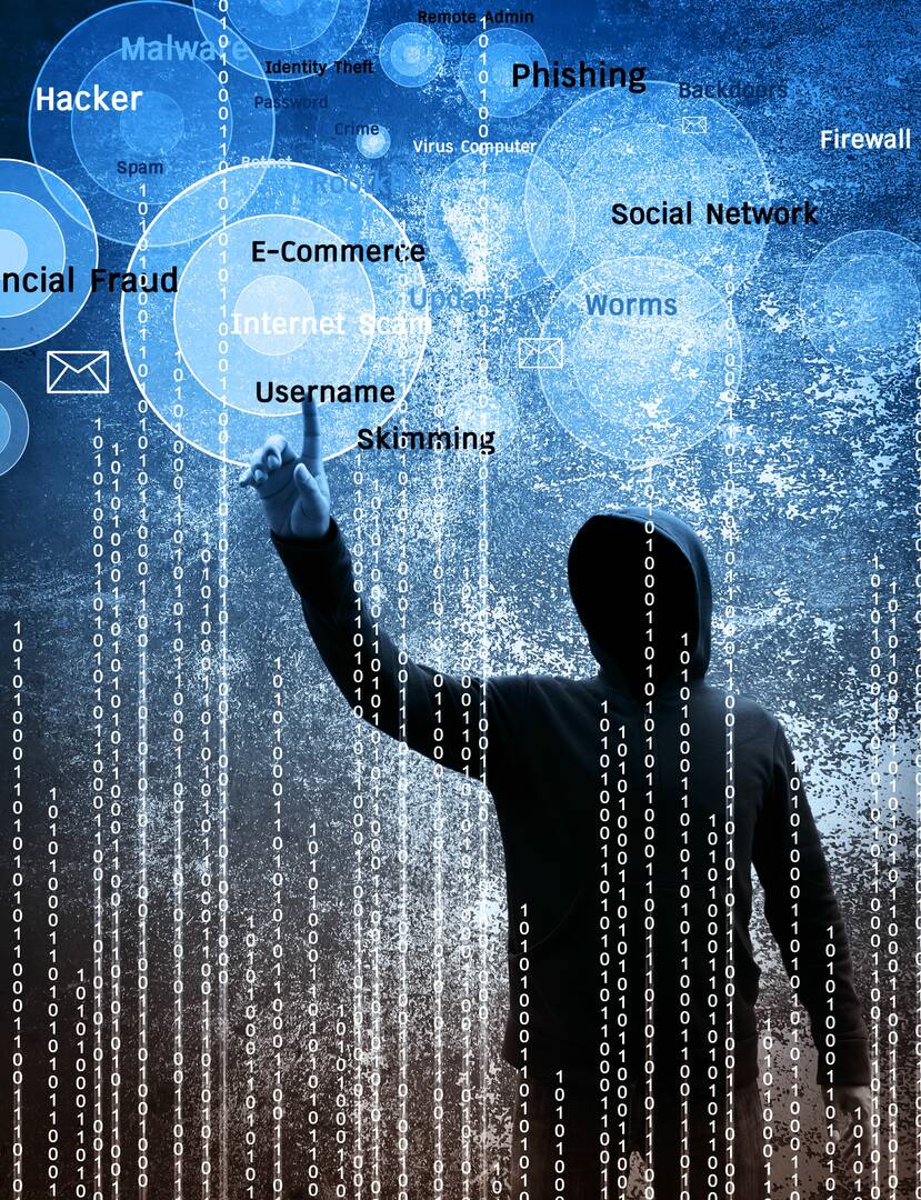 DuPage Security Solutions, Inc.