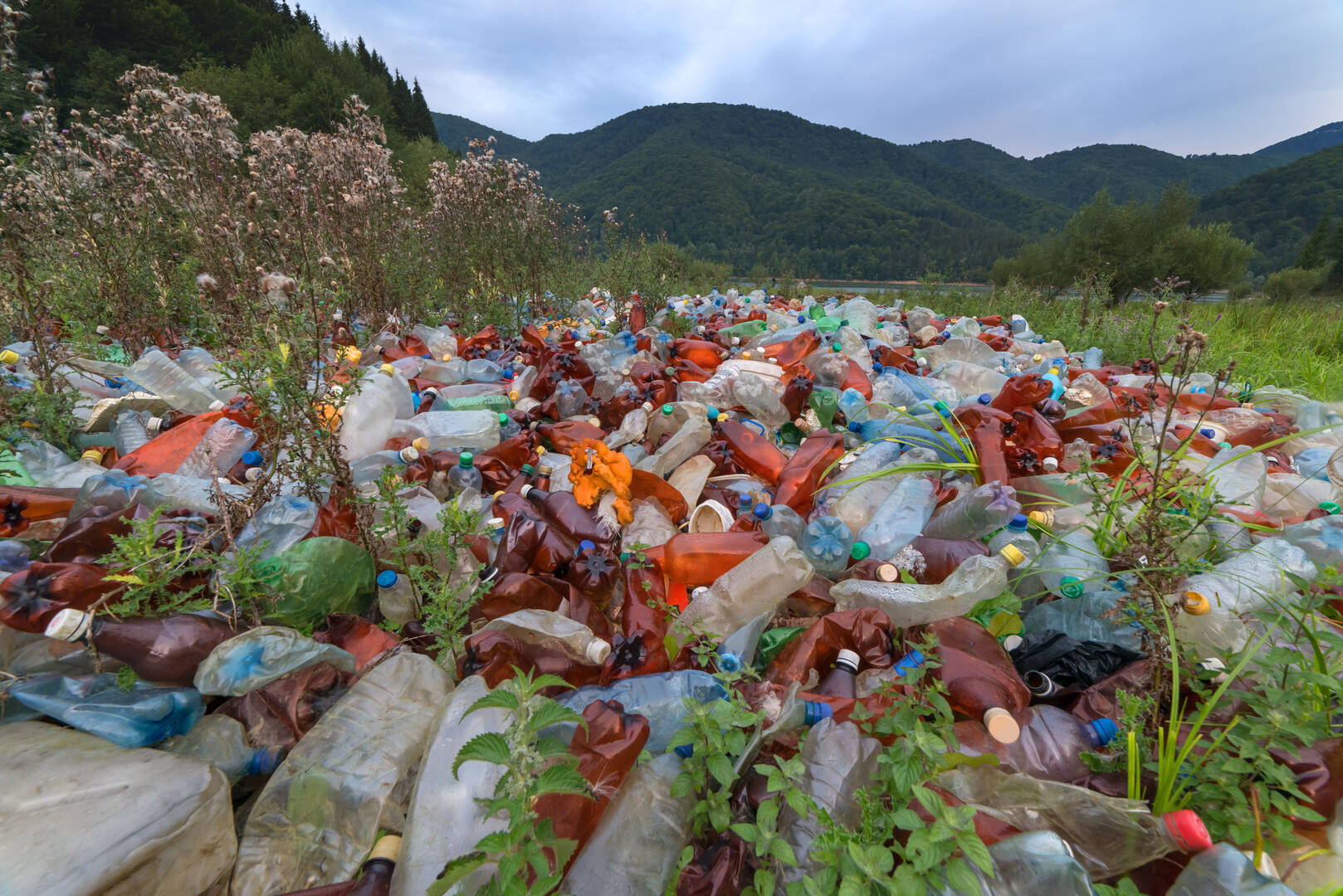 All Clear Clean Out & Junk Removal Services