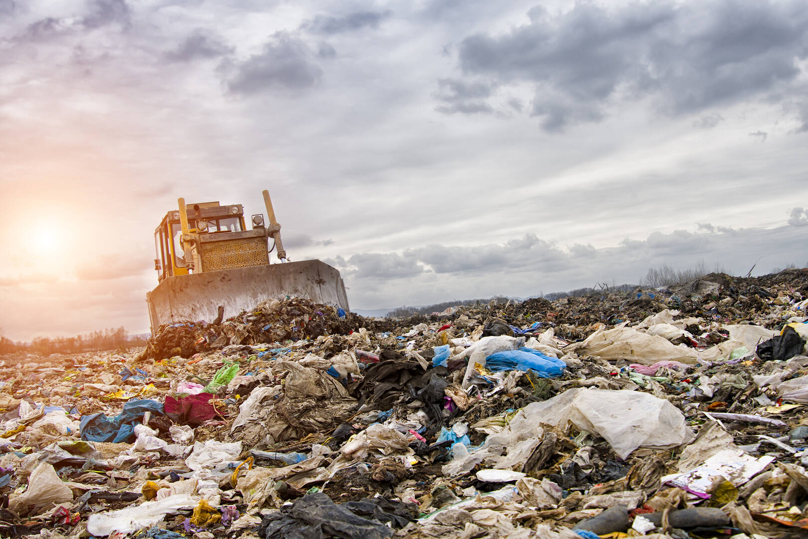 American Scrap Metal Services